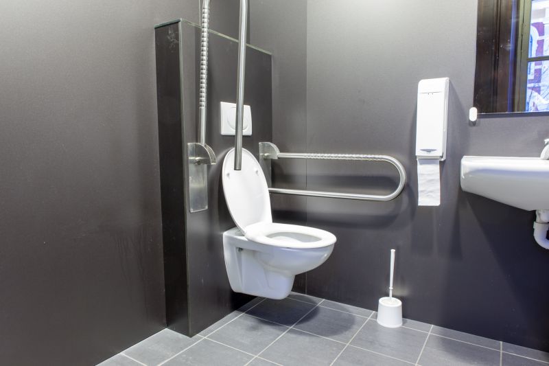 Modern Toilet Installations